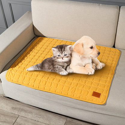 Thick Winter Pet Mat for Cats and Dogs